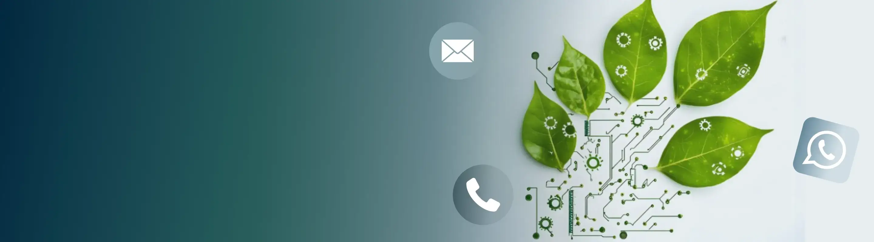 contact-bg